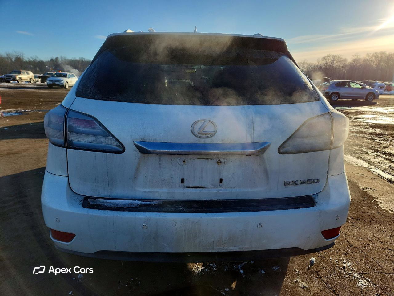 Lexus RX 2012