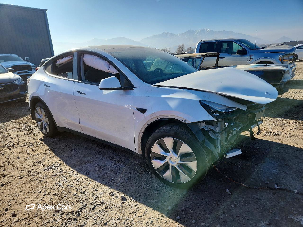 Tesla Model Y 2021