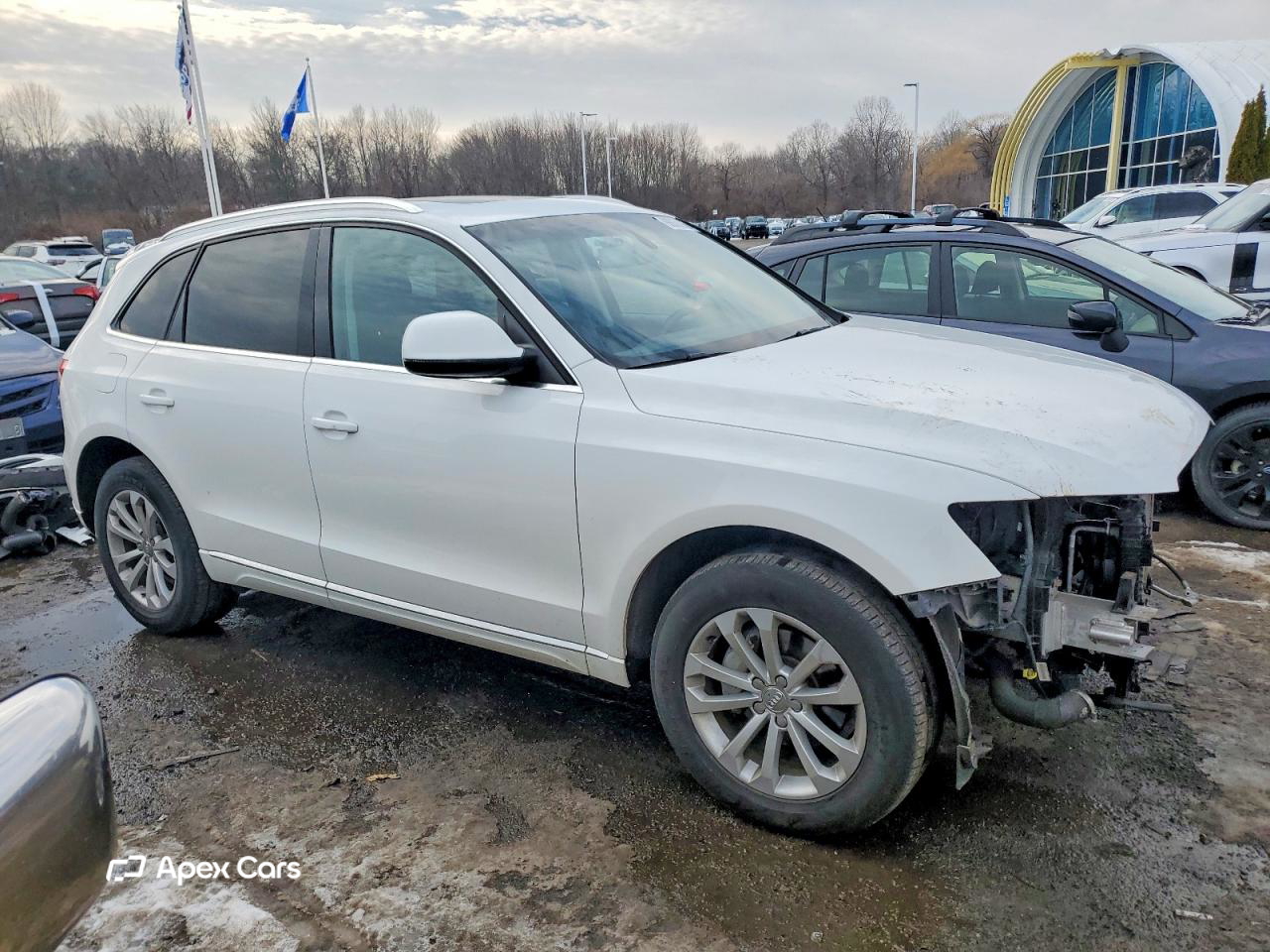 Audi Q5 2013