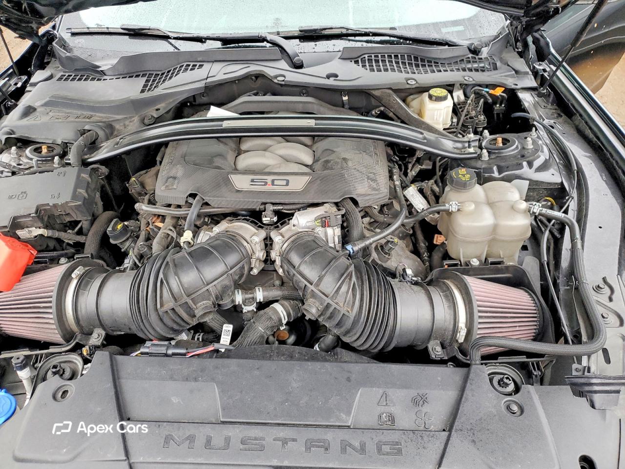 Ford Mustang 2024