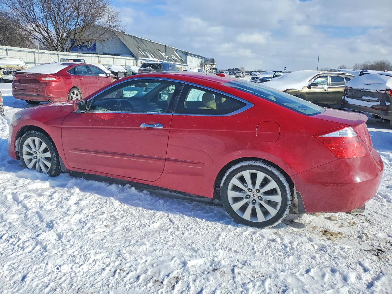 Honda Accord 2010