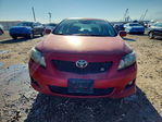 Toyota Corolla 2009