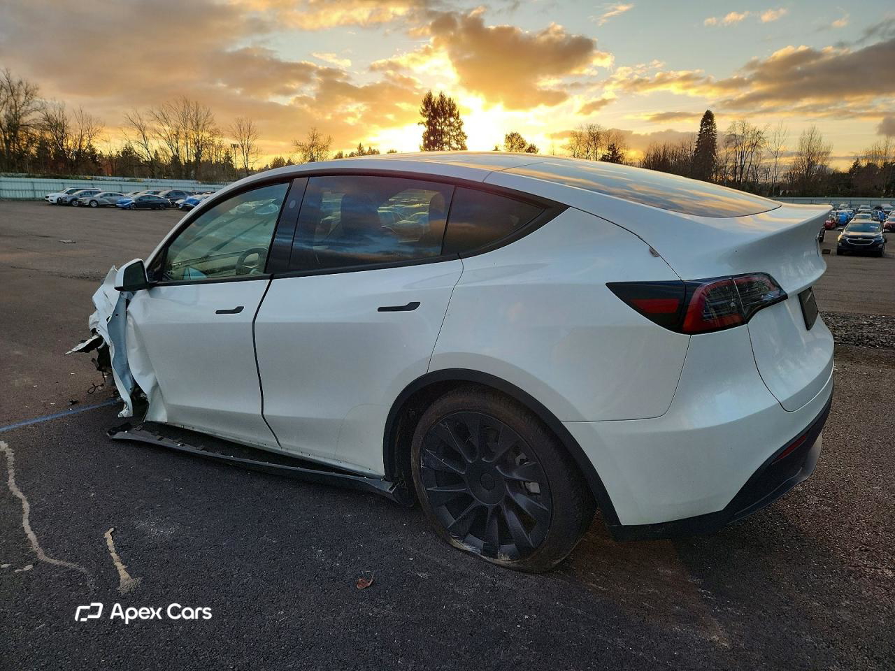 Tesla Model Y 2025