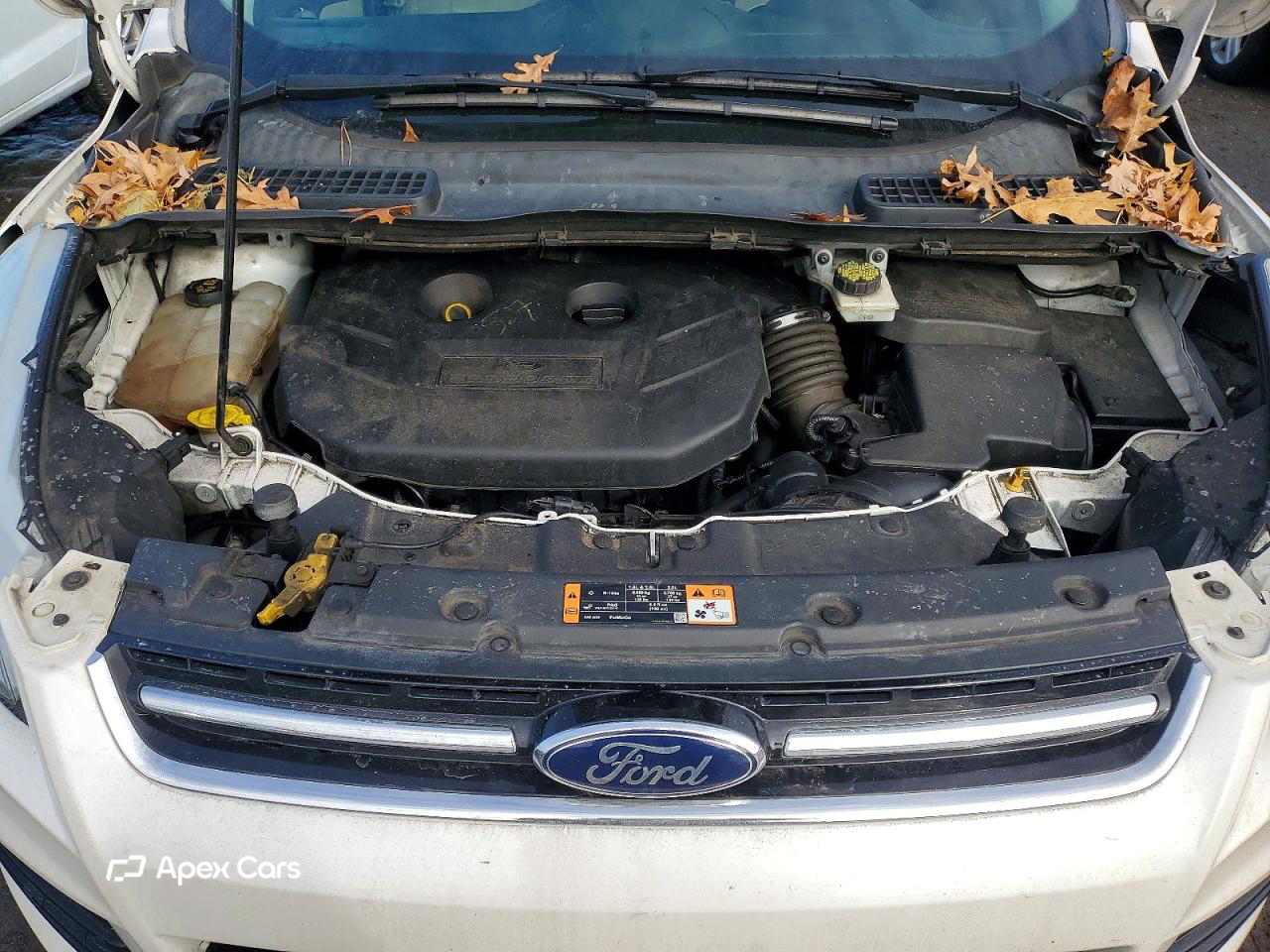 Ford Escape 2015