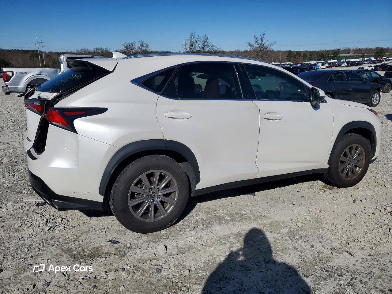 Lexus NX 2020