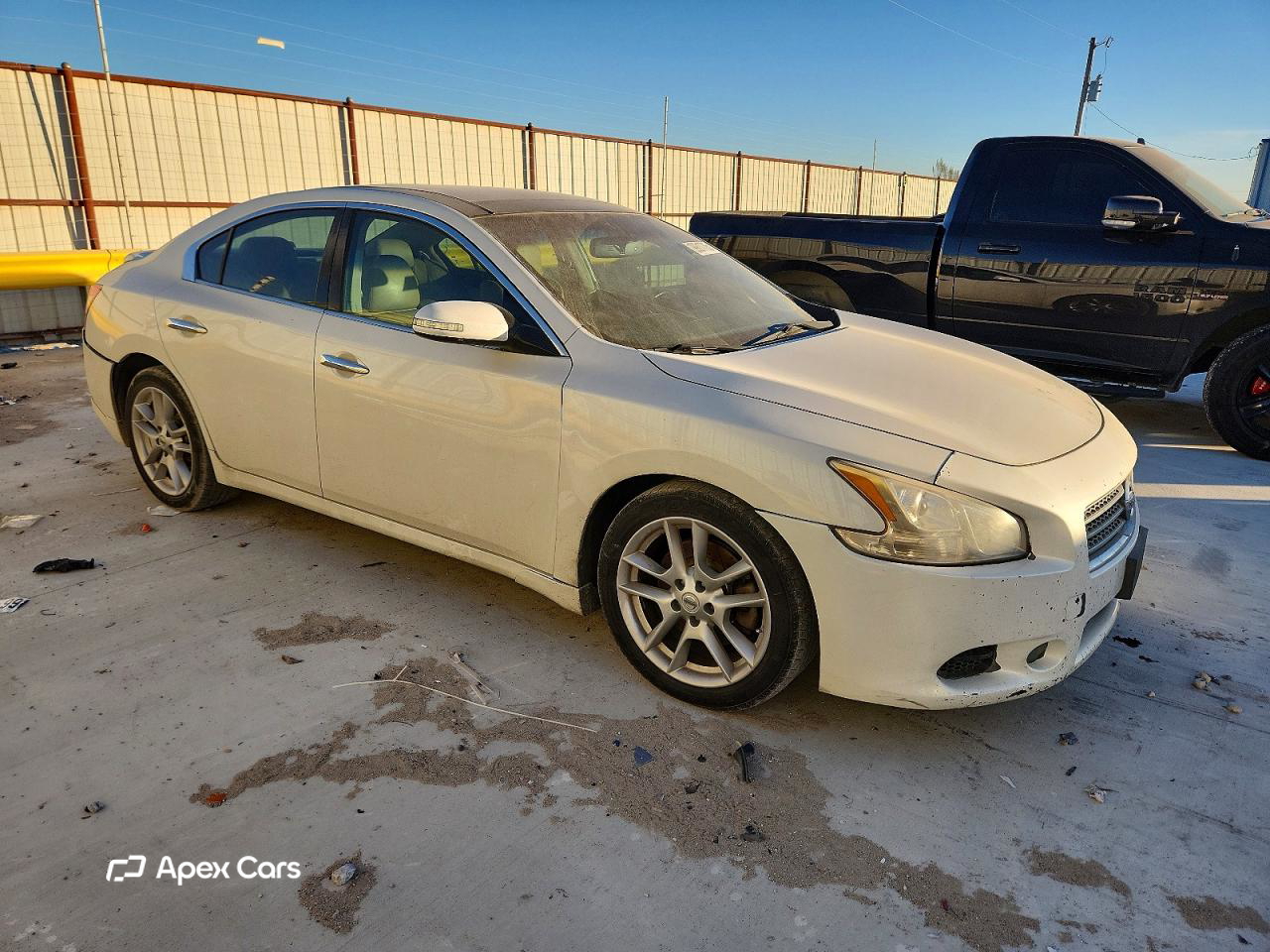 Nissan Maxima 2011