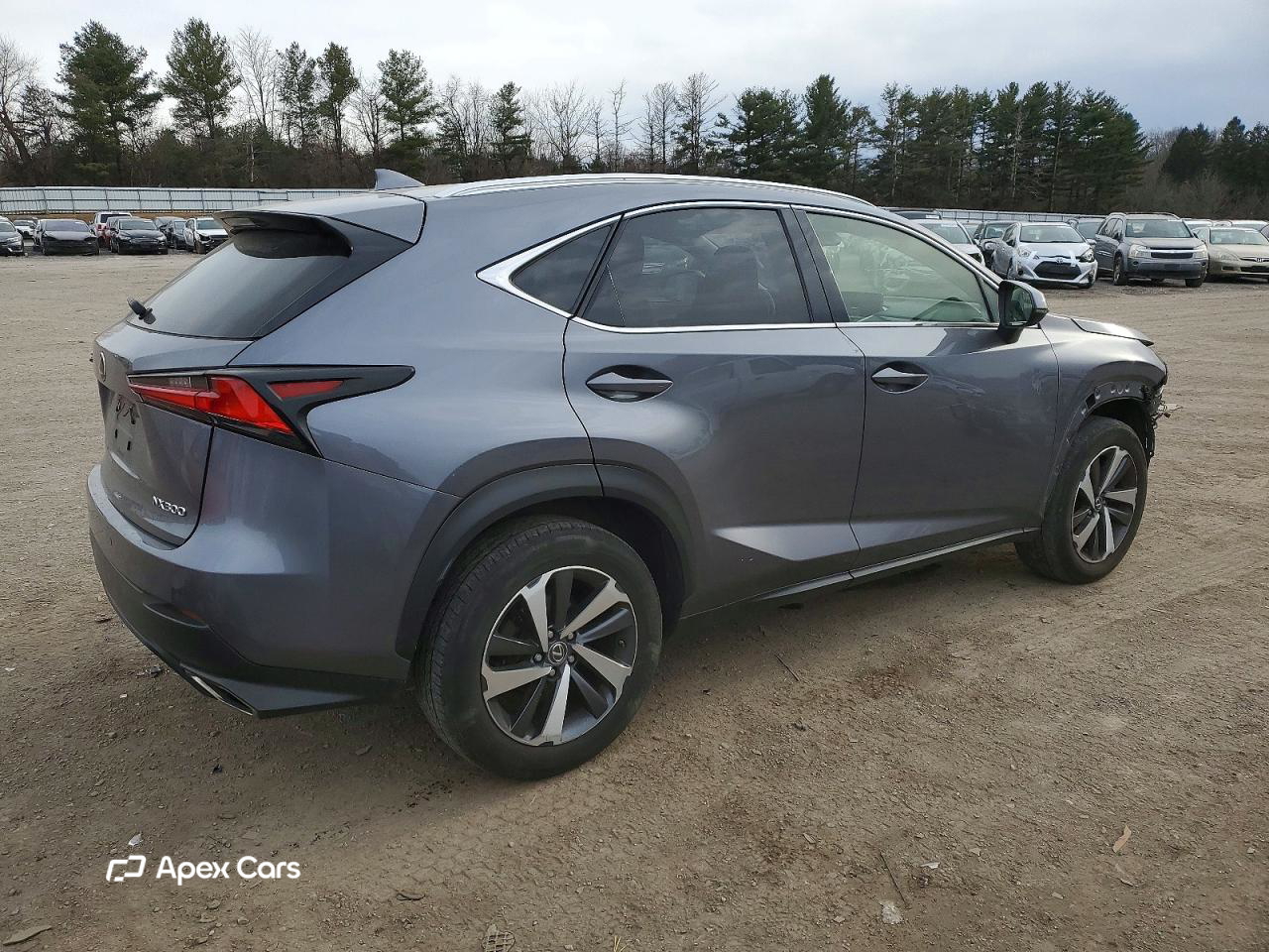 Lexus NX 2018