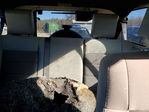 Jeep Wrangler 2010