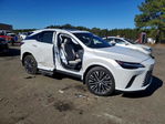Lexus RX 2024