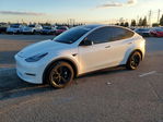 Tesla Model Y 2020