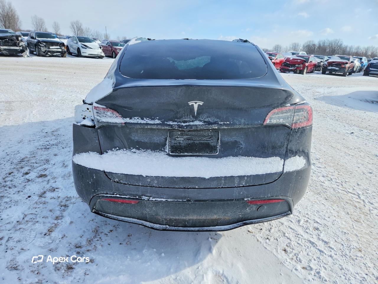 Tesla Model Y 2024