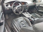 Audi A5 2010
