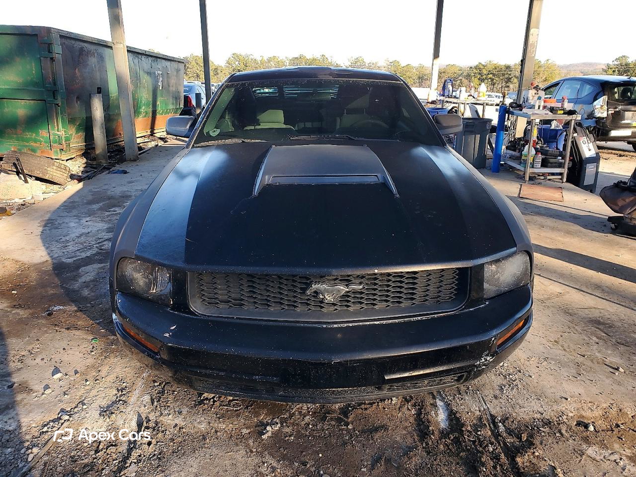 Ford Mustang 2005