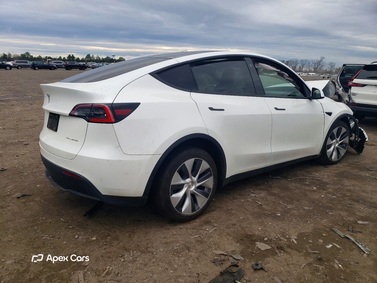 Tesla Model Y 2021