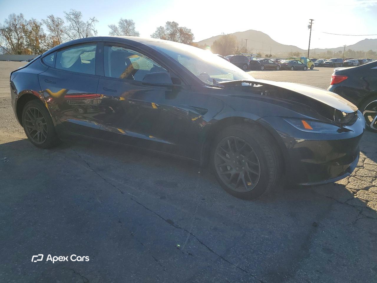 Tesla Model 3 2025