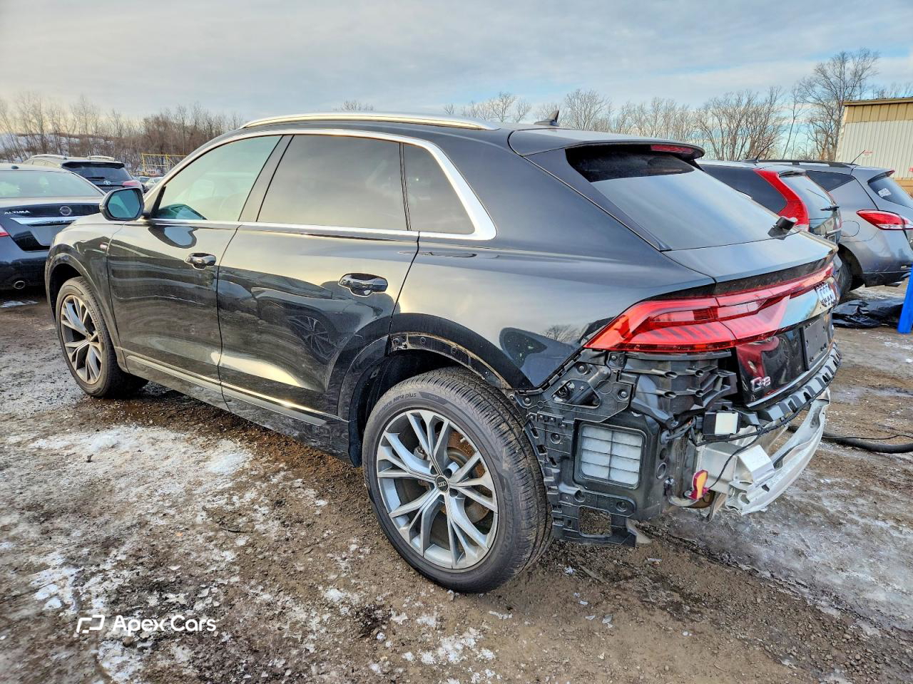 Audi Q8 2023