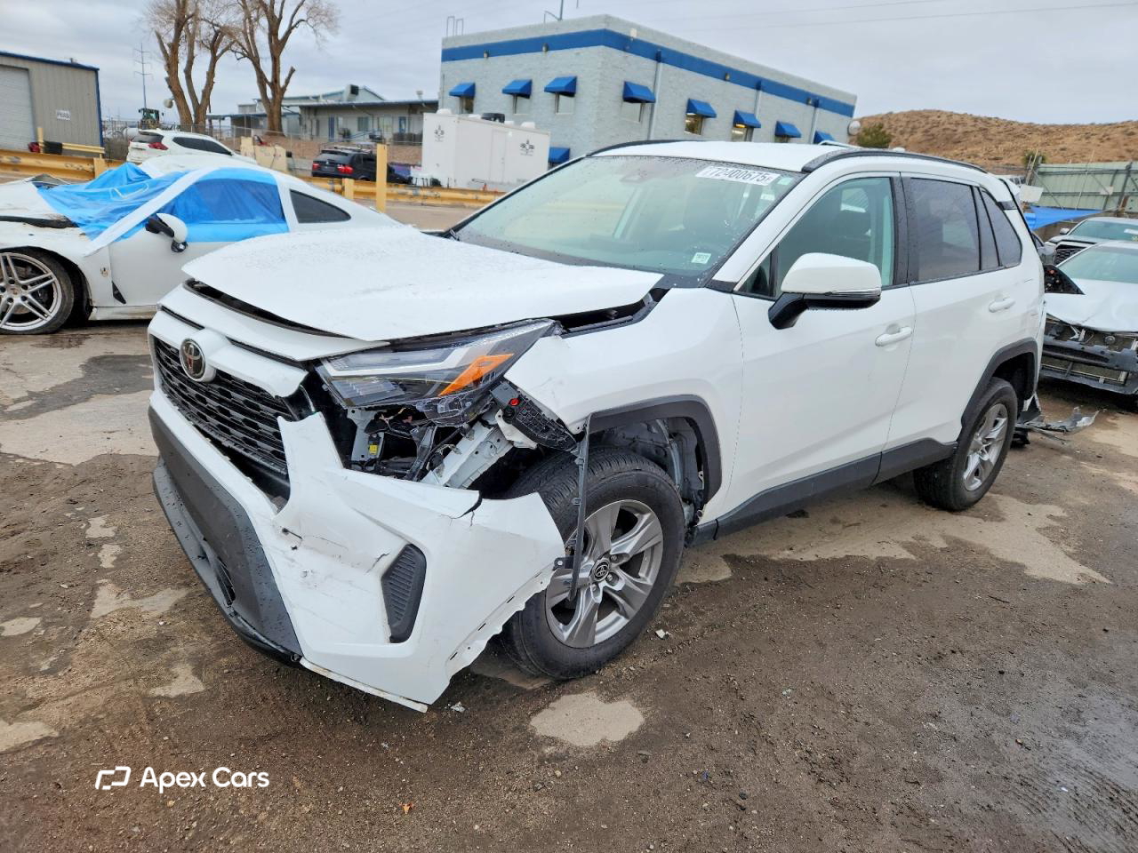 Toyota RAV 4 2024