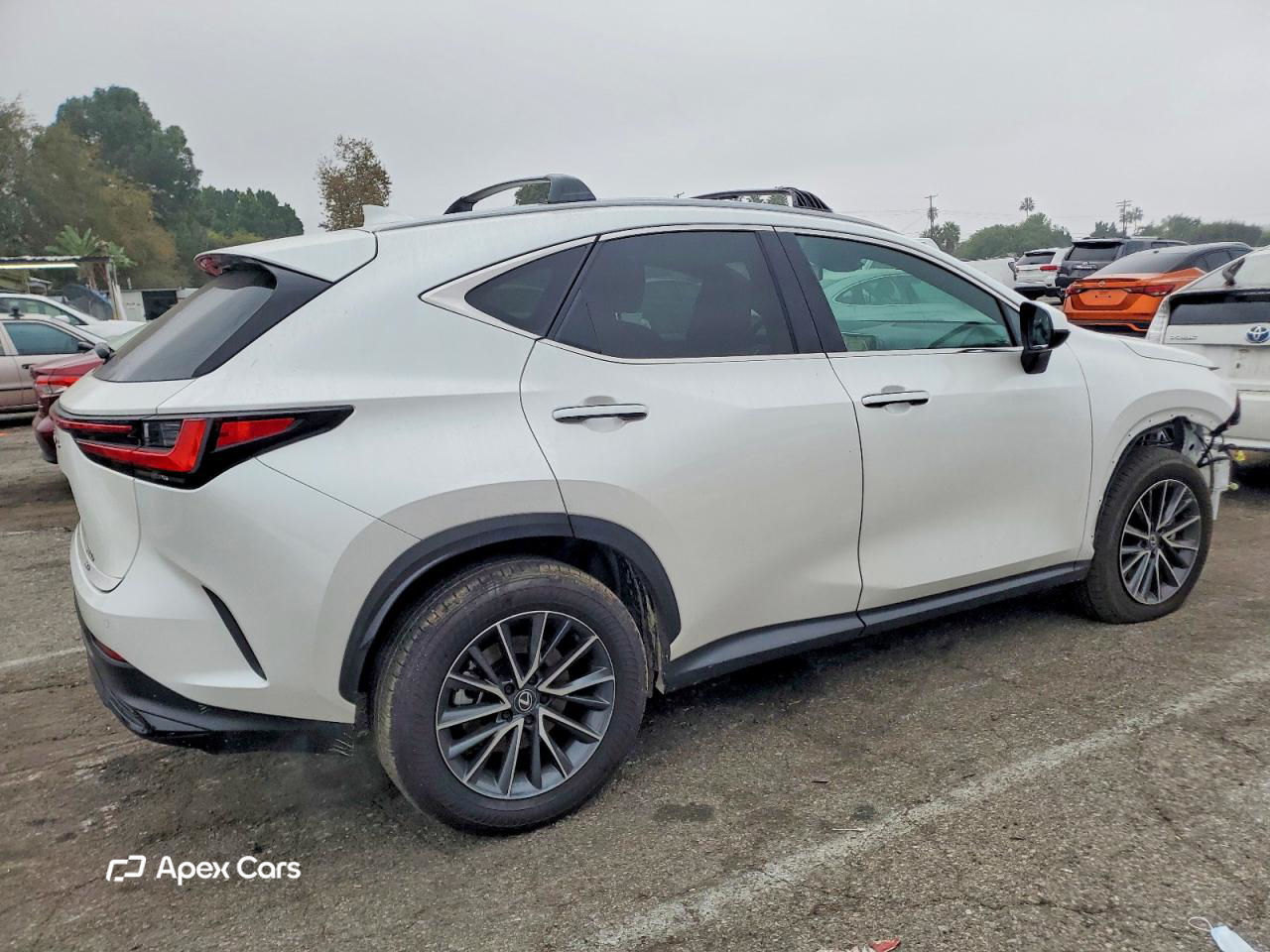 Lexus NX 2025