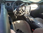 Ford Mustang 2014
