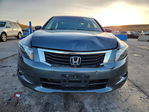 Honda Accord 2010