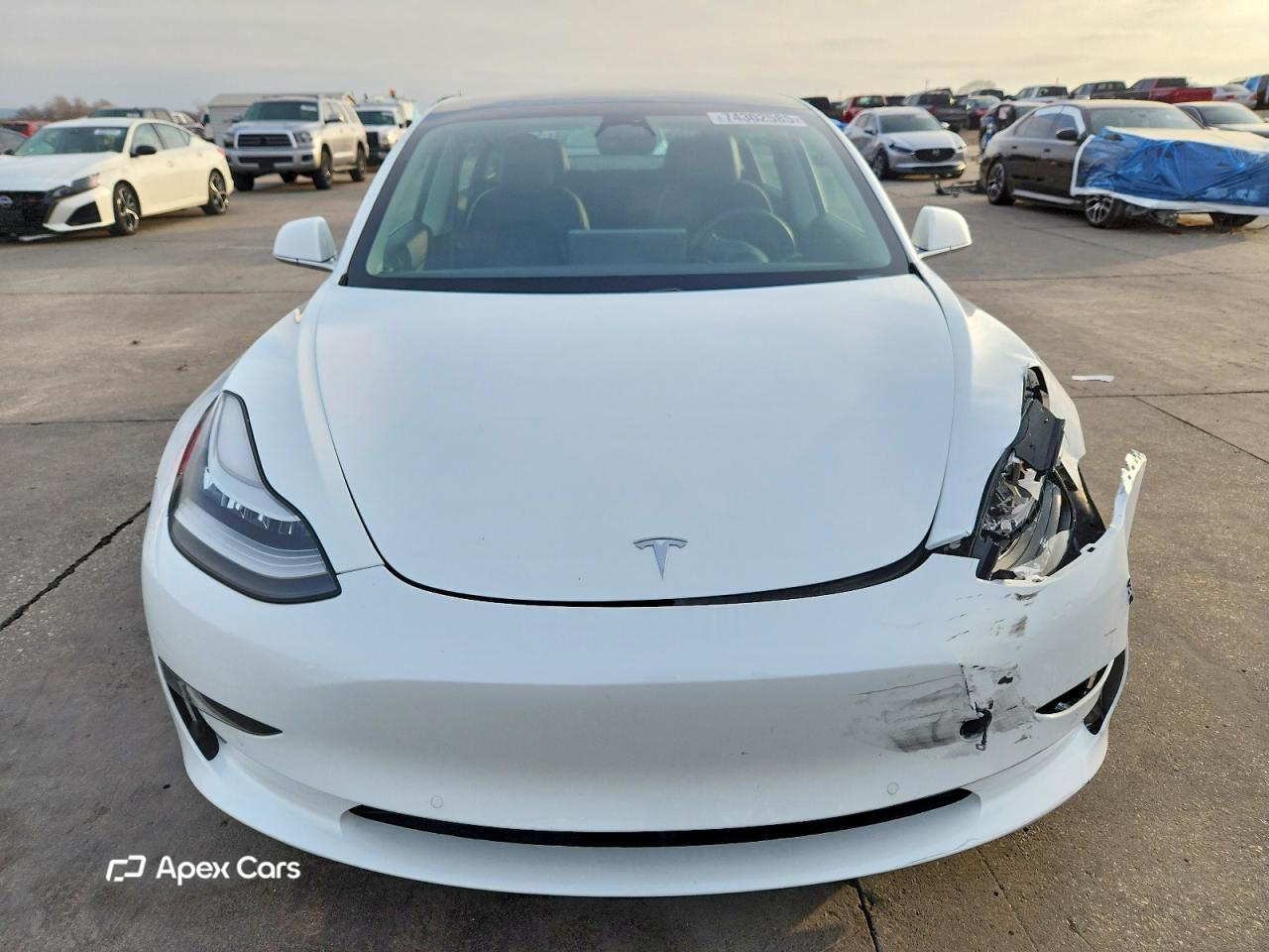 Tesla Model 3 2020