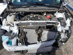 Ford Edge 2024