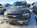 Chevrolet TrailBlazer 2003