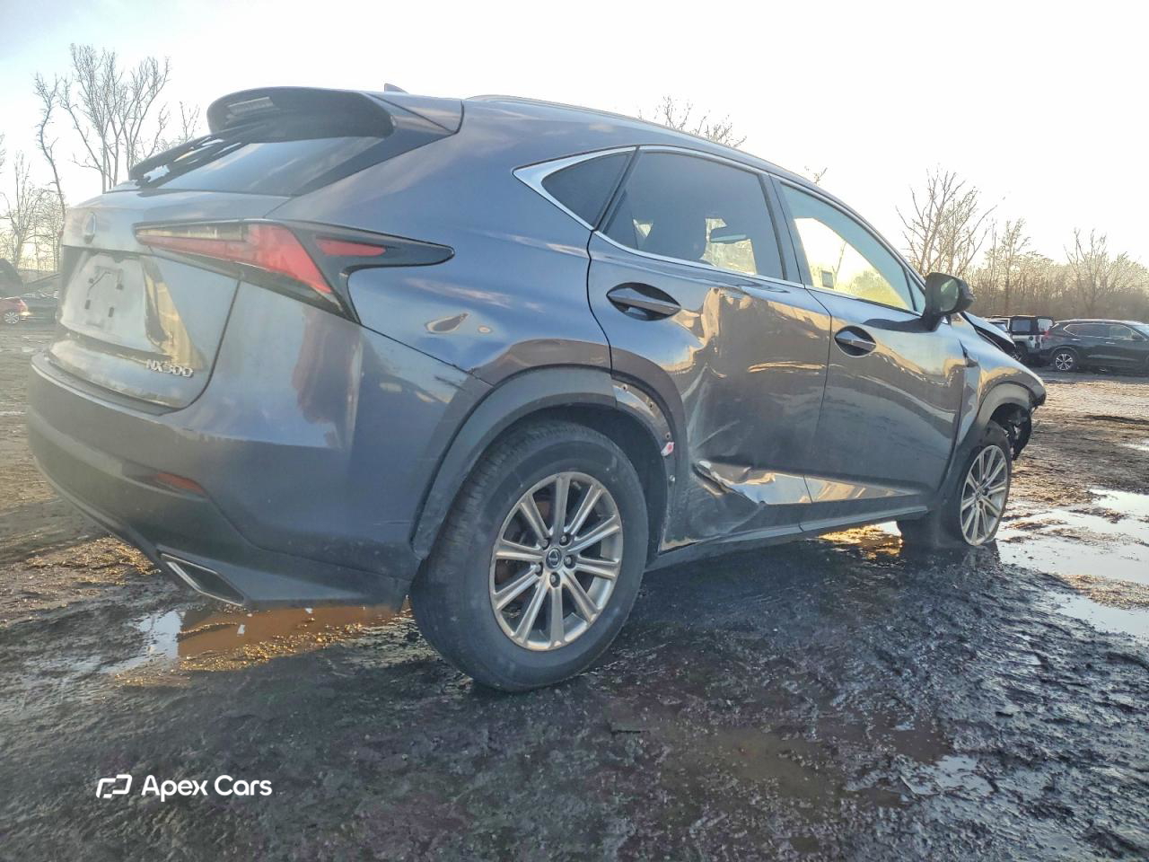Lexus NX 2020
