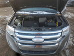Ford Edge 2013