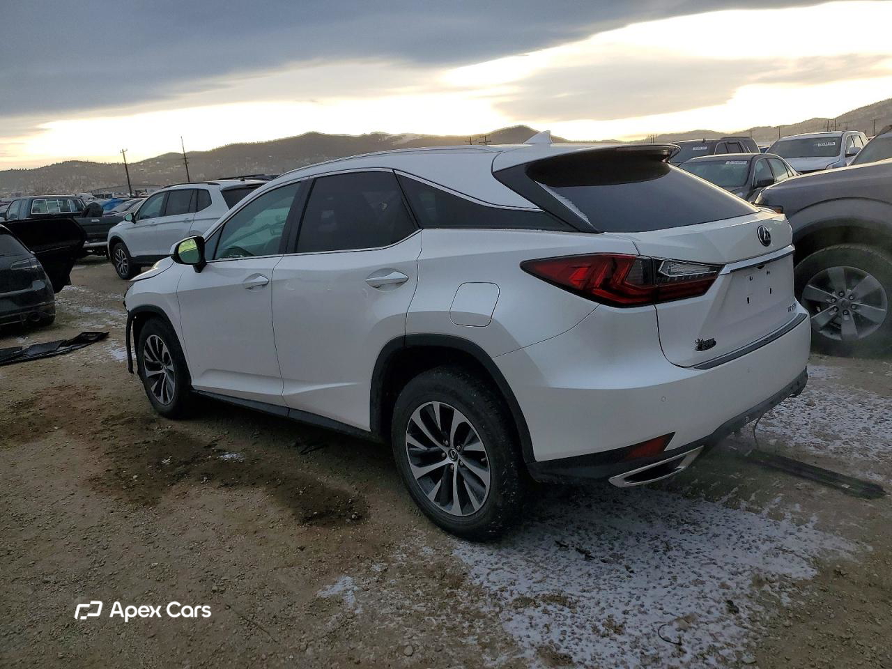 Lexus RX 2020