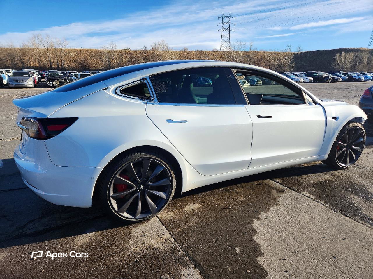 Tesla Model 3 2020