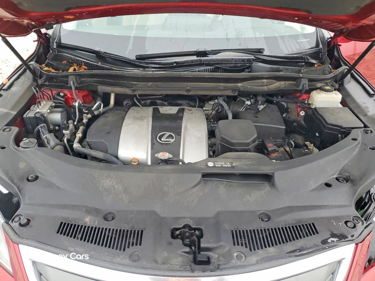 Lexus RX 2019