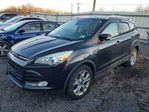 Ford Escape 2014