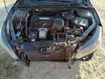 Honda Accord 2013