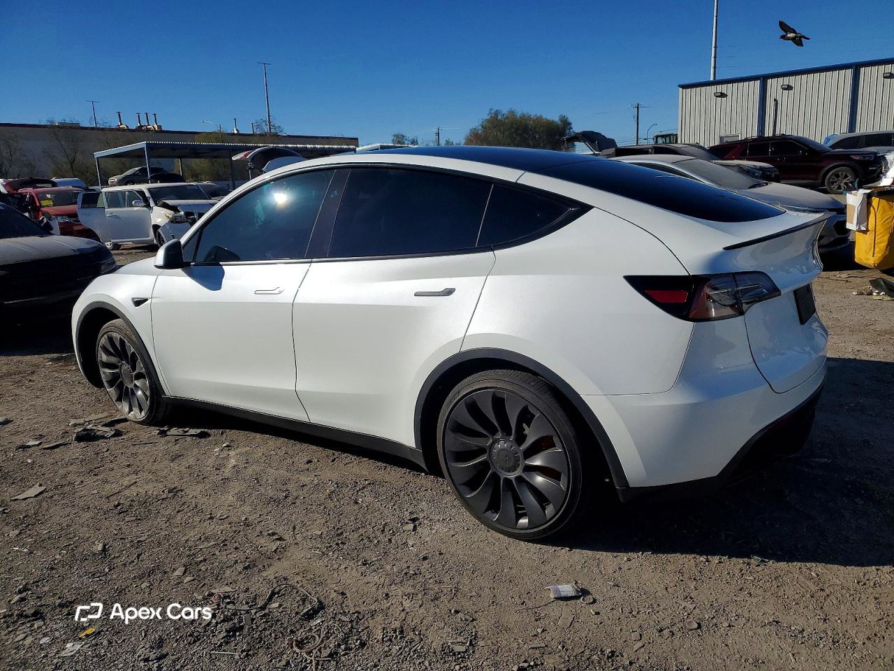 Tesla Model Y 2025