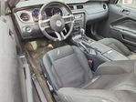 Ford Mustang 2014