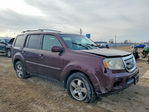 Honda Pilot 2010
