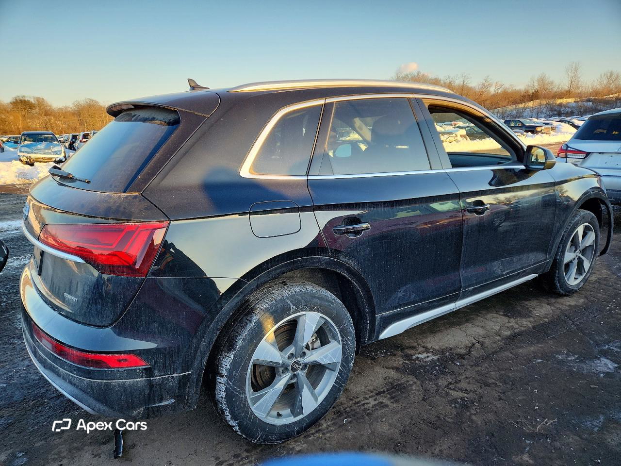 Audi Q5 2023