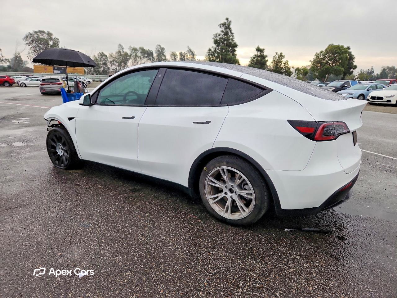 Tesla Model Y 2023