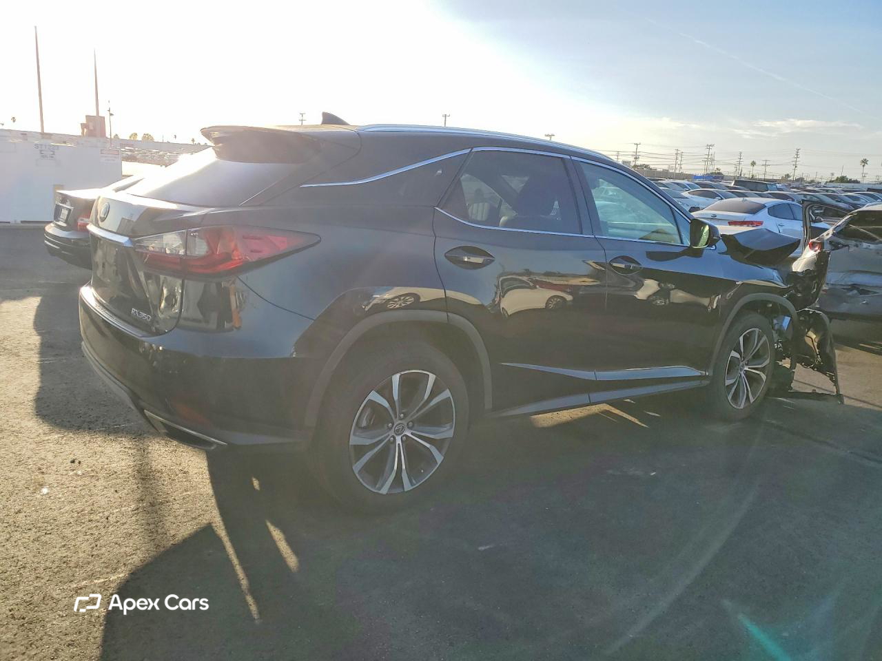 Lexus RX 2022