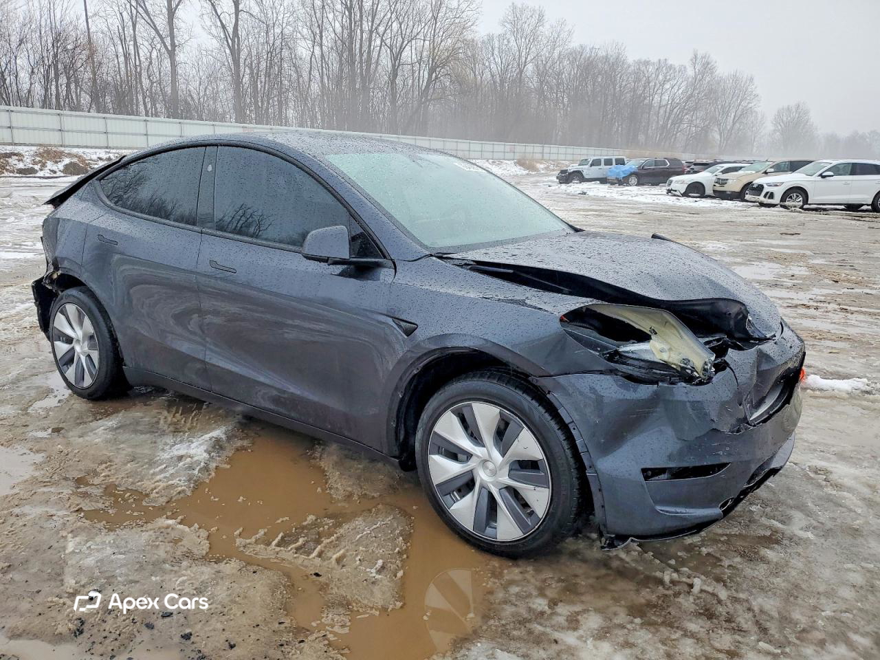 Tesla Model Y 2024