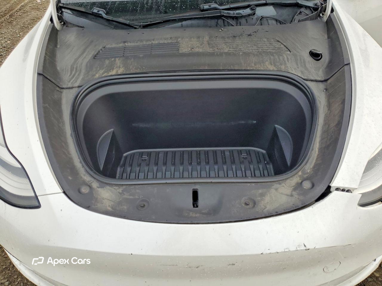 Tesla Model Y 2020
