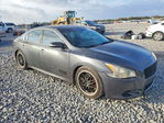 Nissan Maxima 2011
