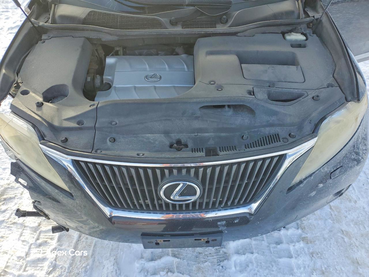 Lexus RX 2010