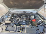 Ford Ranger 2024