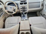 Ford Escape 2010