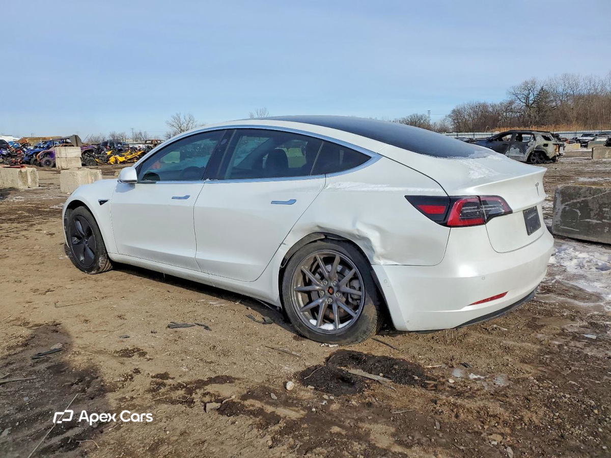 Tesla Model 3 2019
