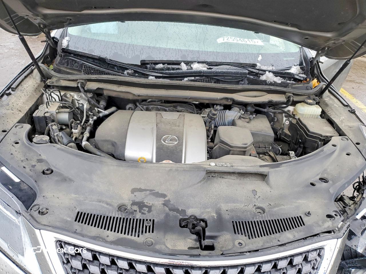 Lexus RX 2021