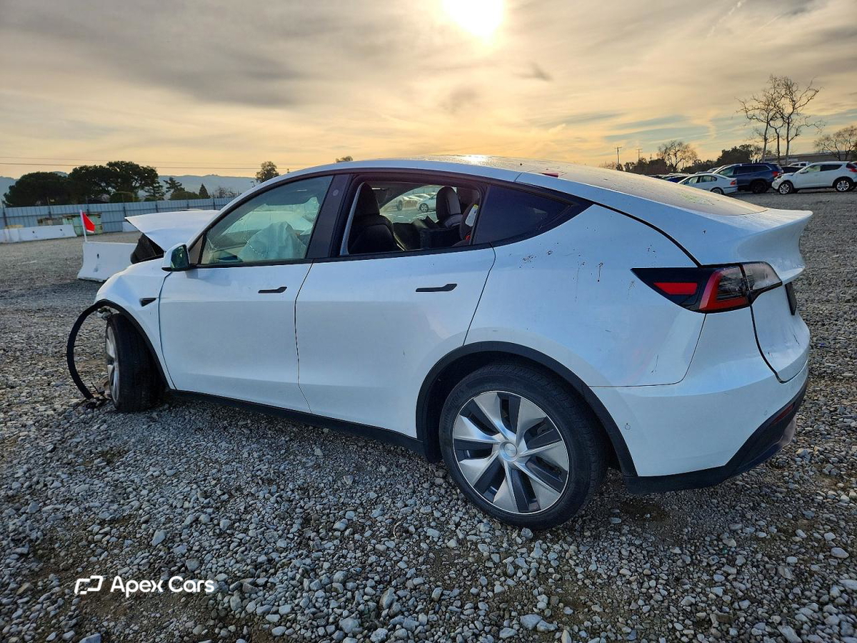 Tesla Model Y 2021