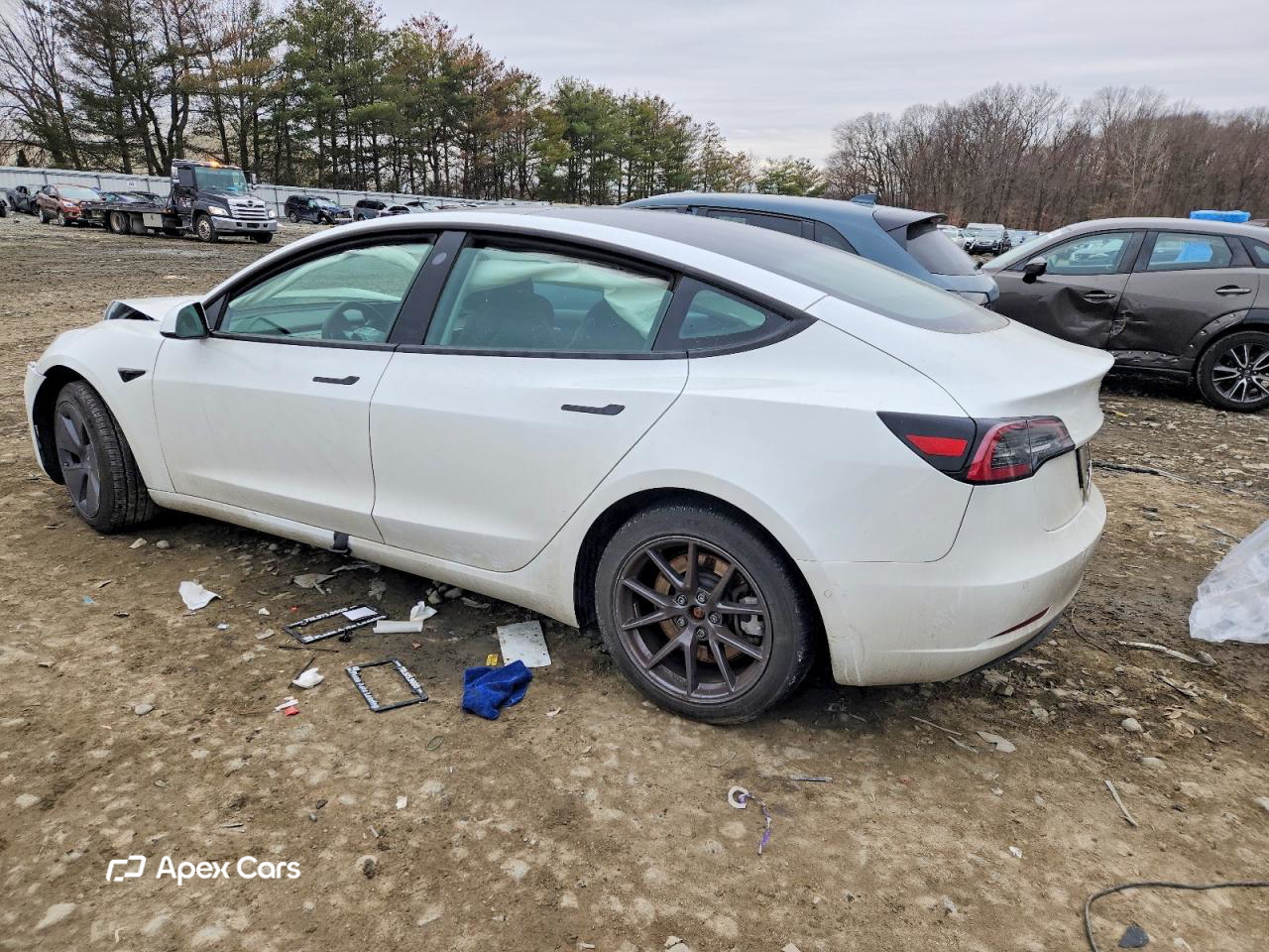 Tesla Model 3 2022